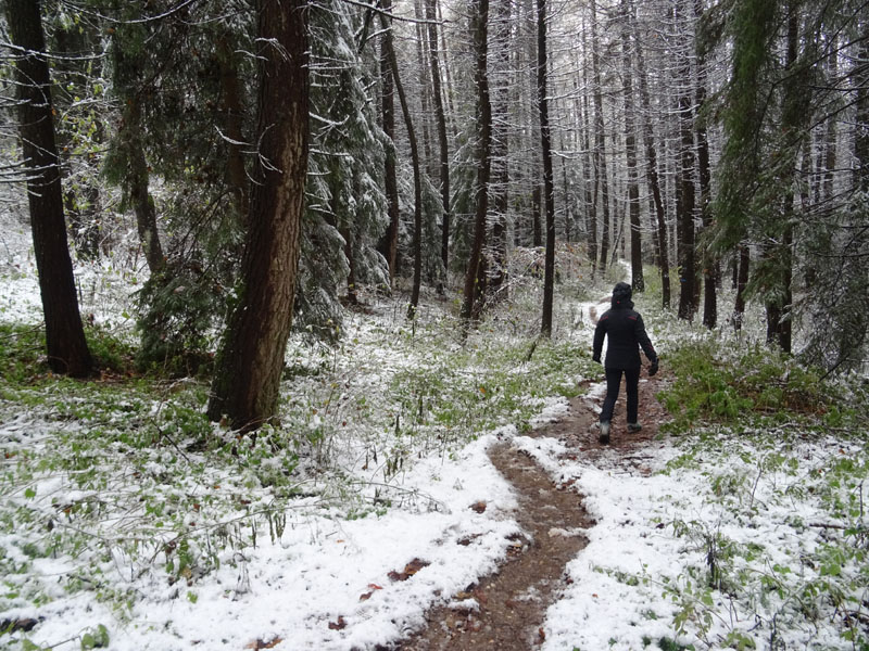 prime escursioni sulla neve....autunno  2019